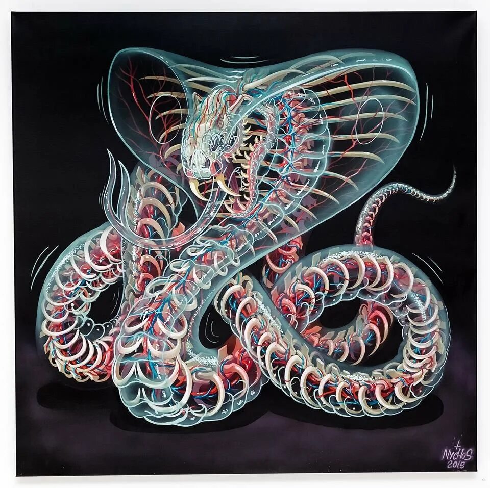 Королевская Кобра Нагайна. Nychos художник змеи. Анатомия королевской кобры. Скелет королевской кобры. Беспозвоночные змей