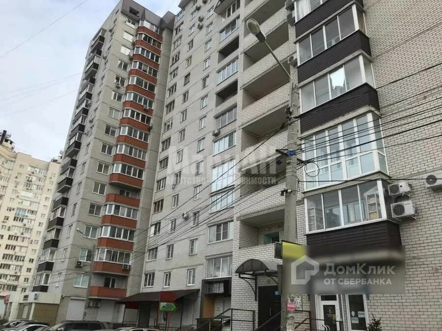 Фото: Petshop.ru, зоомагазин, ул. Владимира Невского, 48Г, Воронеж - Яндекс Карт