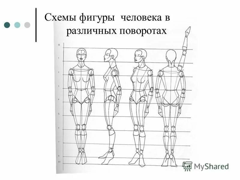 Схема фигуры