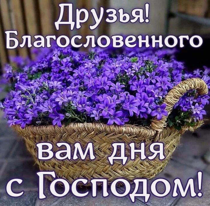Благословенного дня открытки. Христианские пожелания доброго утра. Пожелания благословенного дня с красивыми картинками новыми. Благословенного дня. Пожелания благословенного дня с красивыми картинками новыми.