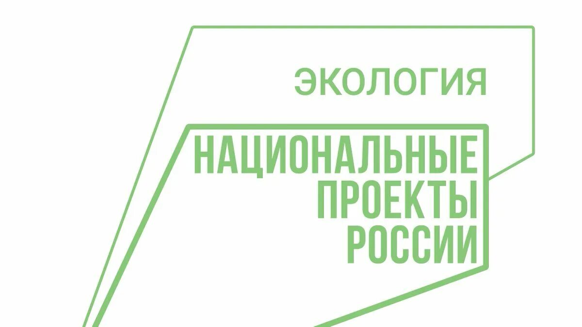 Нацпроект экология 2025. Национальный проект экология. национальные проекты россии экология. нацпроект экология логотип. национальный проект экология лого.