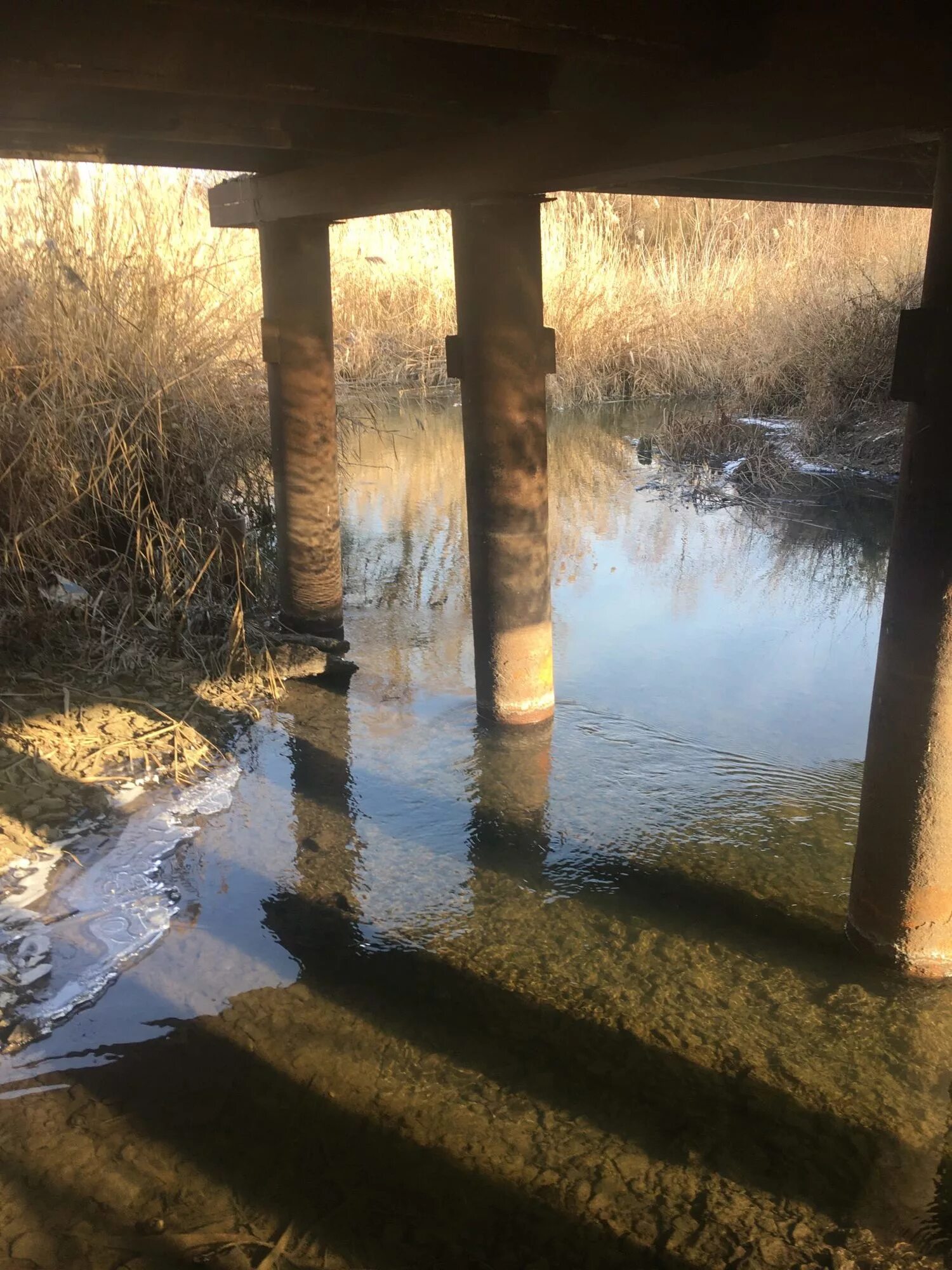 Прогноз погоды песчанка. Село песчанка саратовская область.