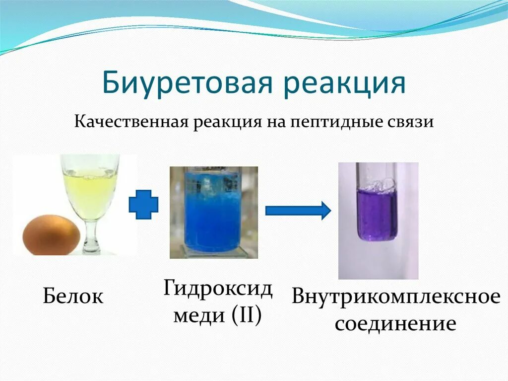 Яичный альбумин биуретовая реакция. Реакция Пиотровского биуретовая реакция. Биуретовая реакция это качественная реакция на. Качественная реакция на пептидную связь. Получить свежеосажденный гидроксид меди