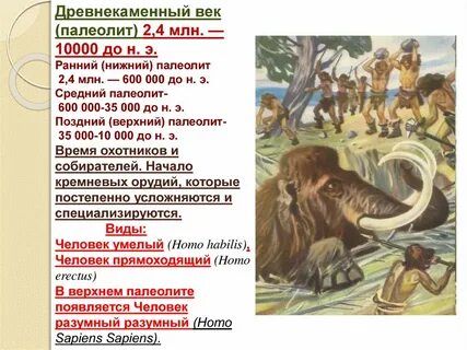 Какие изменения произошли в среднем палеолите