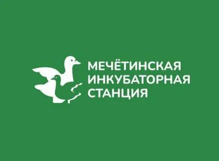 Мечетинская инкубаторная станция