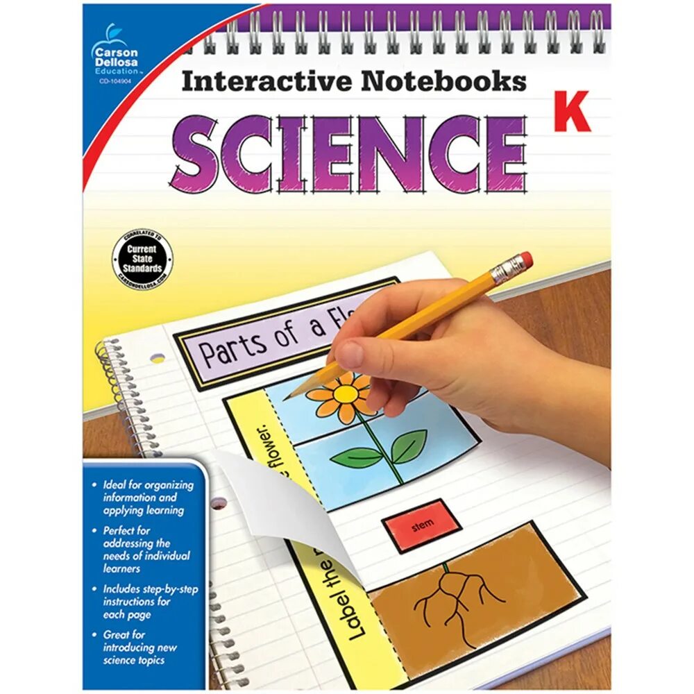 Interactive notebook. Interactive notebooks word study. interactive notebooks language arts. interactive notebooks word study grade 1.