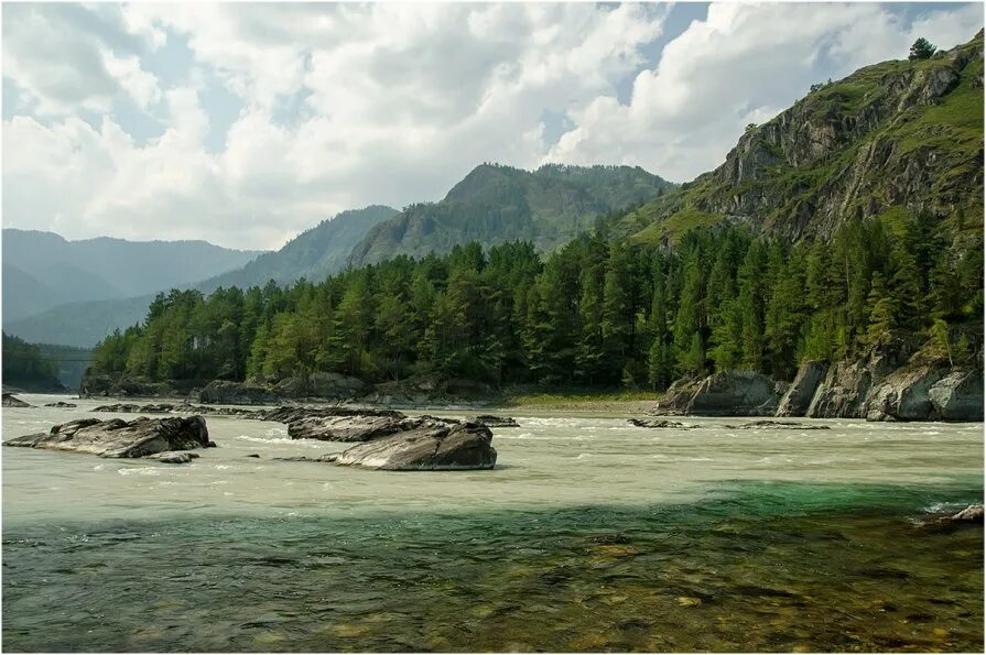 Алтай катунь чемал. Вода в чемале. Гэс на катуни горный алтай. Вода в чемале. Наводнение в горном алтае 2014.