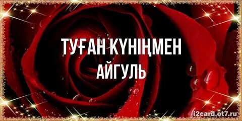 Диснейдегі Ladybug және Cat Noir 2 маусымының шығу күні