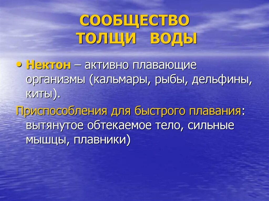 Активно плавающие организмы. Сообщество толщи воды. Сообщество толще воды. Сообщество толщи воды обитатели. Организмы активно плавающие воде