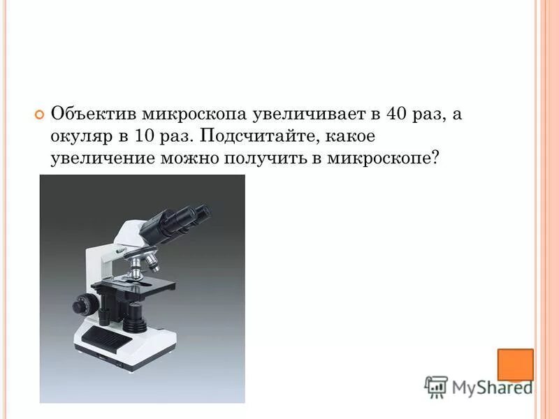 Во сколько раз увеличивает объектив микроскопа. Таблица увеличения микроскопа. Увеличение объектива микроскопа. Окуляр микроскопа. Увеличение микроскопа.