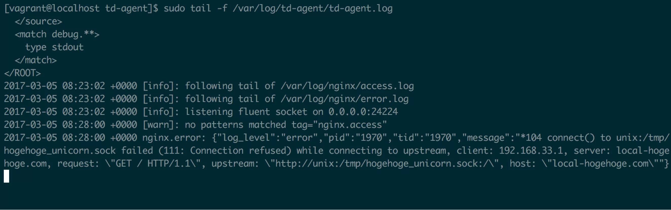 Логи nginx. Access логи nginx. Пример ЛОГОВ nginx. Пример ЛОГОВ. Tmp logs