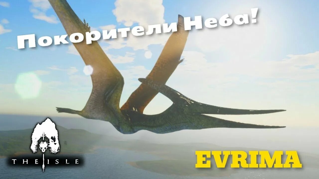 Птеранадон. Птеранодон the Isle. The Isle evrima птеродактиль. The Isle evrima Птеранодон арт. The Isle Elder Pteranodon.