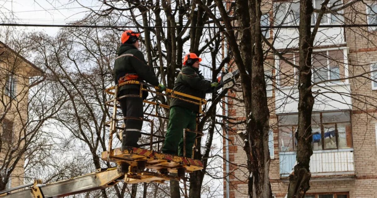 Зеленстрой партизанского. Обрезка деревьев. зеленстрой луганск. вологда зеленстрой. лысая гора 9 курск зеленстрой.