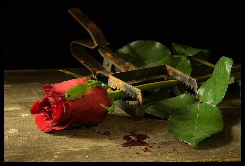 гибельными бывают порою. летать в облаках. в гибельном фолианте тема. прикосновение души. гибельными бывают порою.