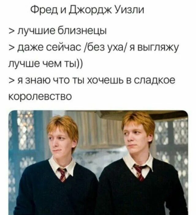 Запреты для близнецов Уизли Creative Center RUS Amino