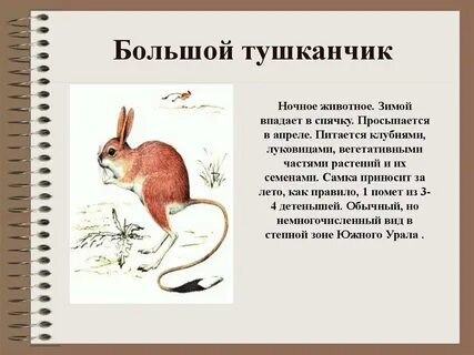 Большой краткое содержание