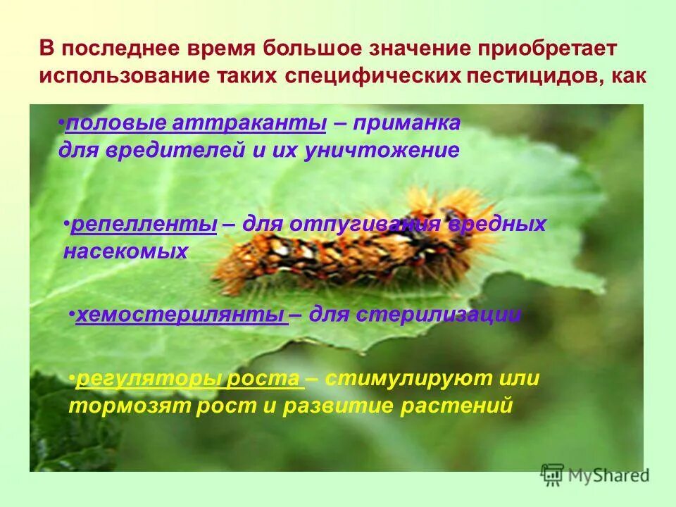 Влияние пестицидов на вредителей растений. Защита растений от вредителей. Биологическая защита растений. Пестициды и насекомые. Биологические методы борьбы с насекомыми.