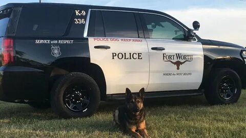 K 9 3