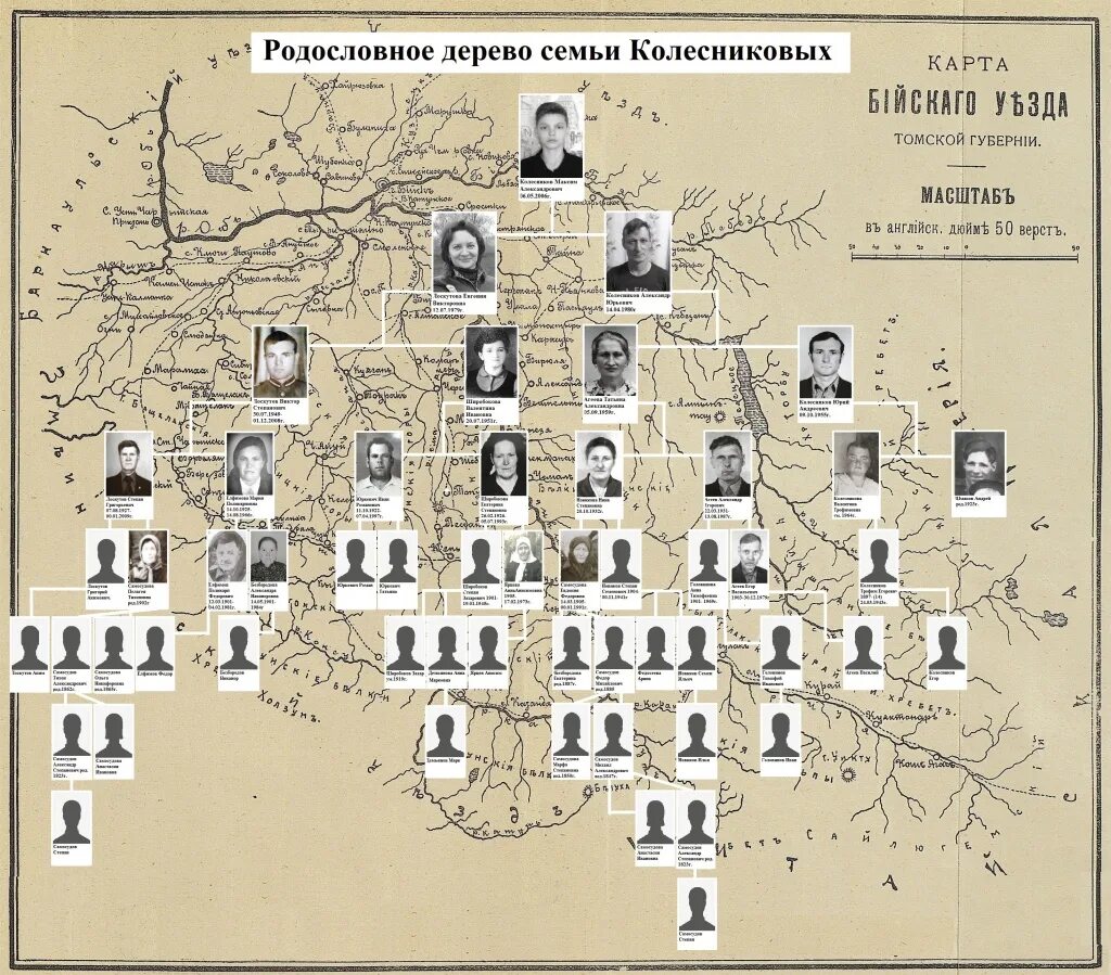 родословная по фамилии.