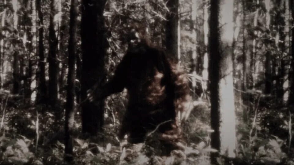 город снежного человека