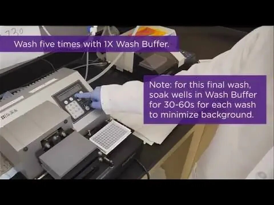 Wash buffer