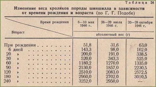 Температура кролика в норме. График вакцинации кроликов в домашних. Нормальная температура кролика. Какая норма температуры у кролика.