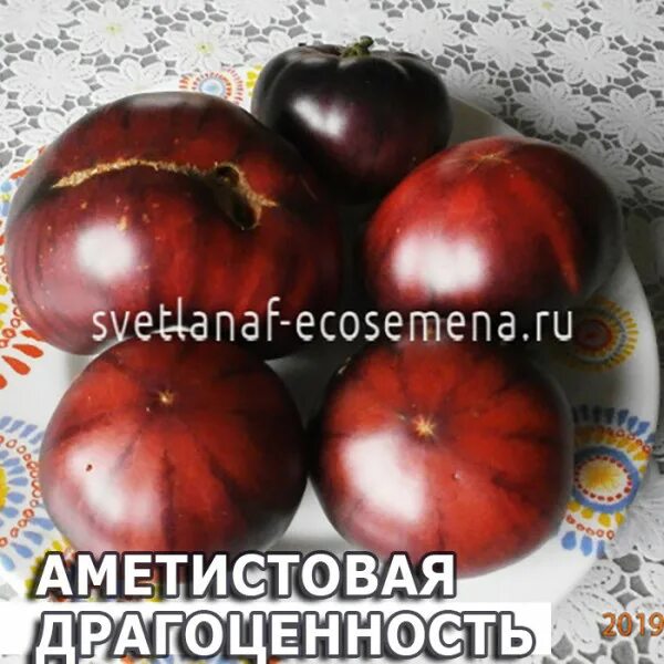 Томаты аметистовая драгоценность отзывы фото. Томат аметистовая драгоценность картинки описание. томат аметистовая драгоценность 5шт (любовь мязина).