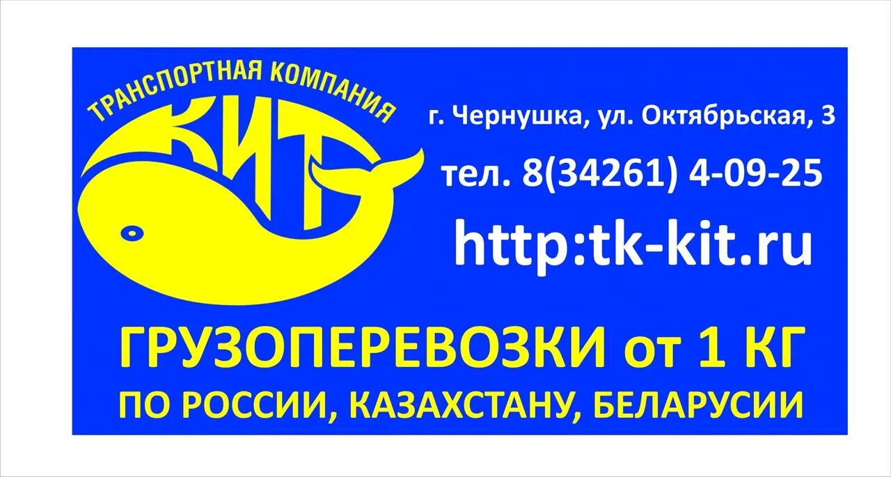 Кит транспортная мурманск. Кит транспортная компания. Транспортная компания кит Энгельс. Логотип кит компания. Транспортная компания кит г. Чернушка.