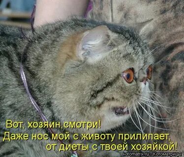 Даже нос