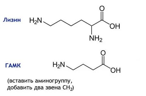 Гамма аминомасляная