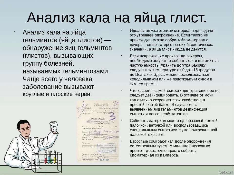 Кал можно хранить в холодильнике сутки. Анализ кала как правильно собрать и хранить. Исследование кала на яйца глистов. Как правильно сдать анализ кала. Как сдавать кал на анализ.