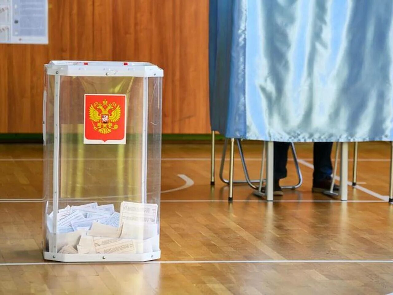 Прямые выборы глав. Урна для голосования. выборы губернатора. выборы в россии. урна для бюллетеней.