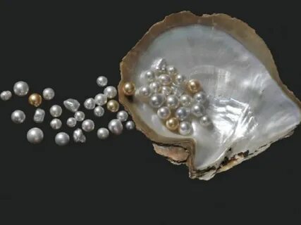 Pearl 2
