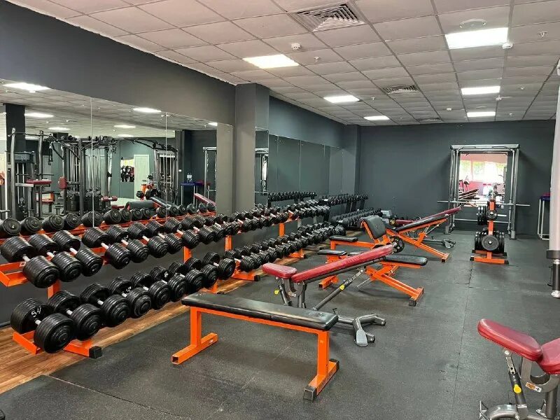 тренажёрный зал в отрадном. дорожка беговая dhz fitness sh-5918. максимум отрадная. максимум волхов. улица отрадное 16 фитнес maximum.