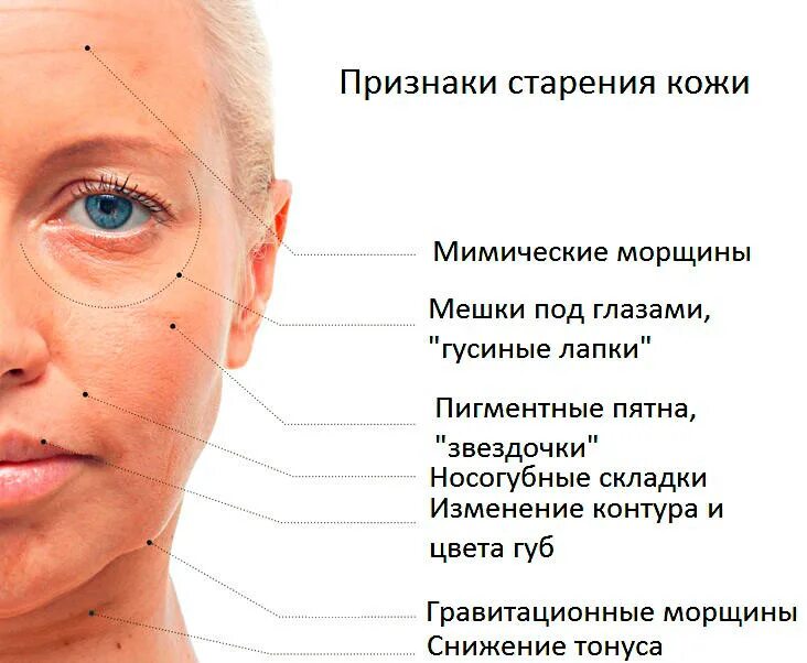 Типы возрастных изменений