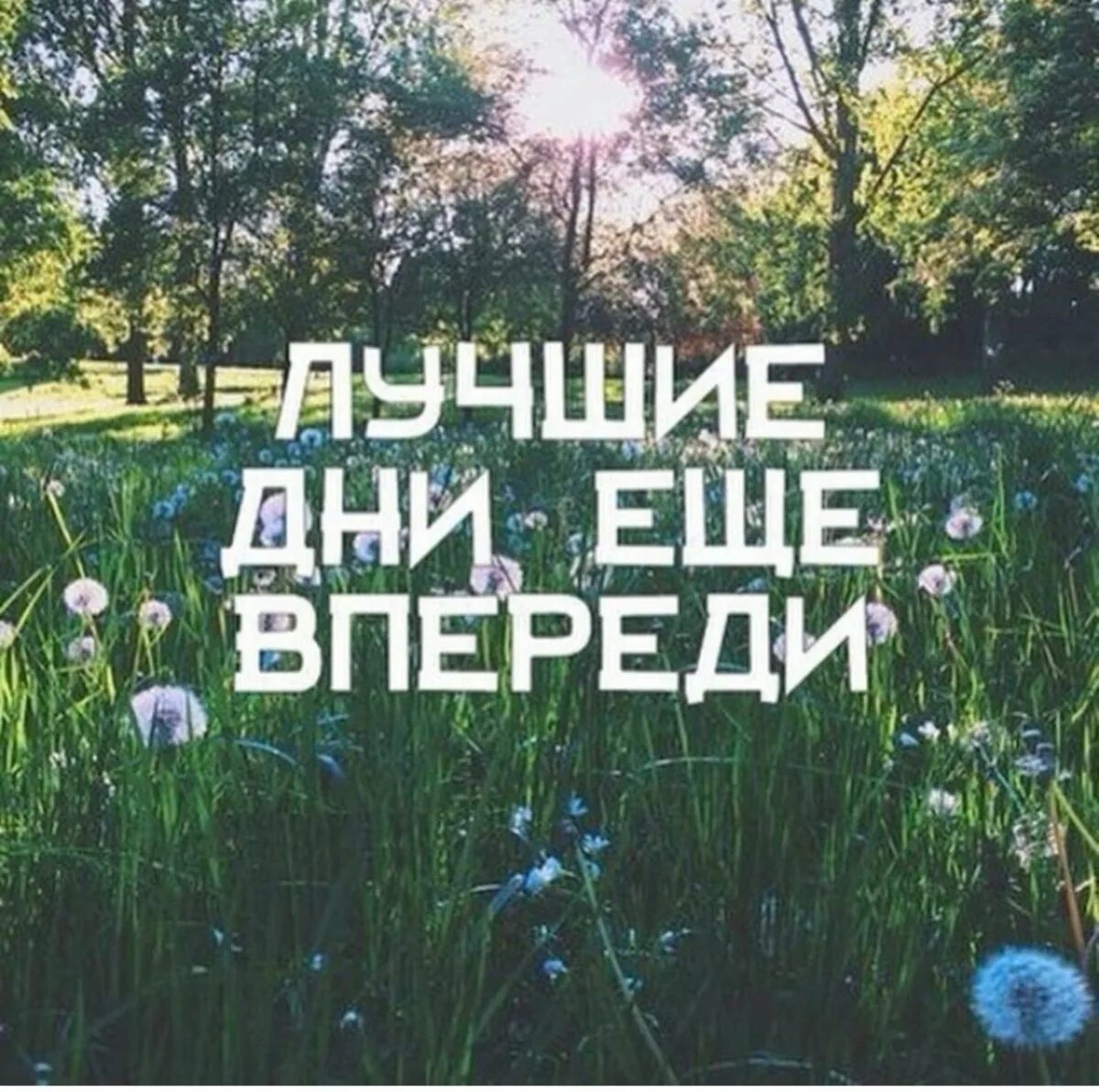 Впереди еще много всего. Лучшее впереди. лучшие дни еще впереди. всё лучшее впереди. все лучшее впереди.