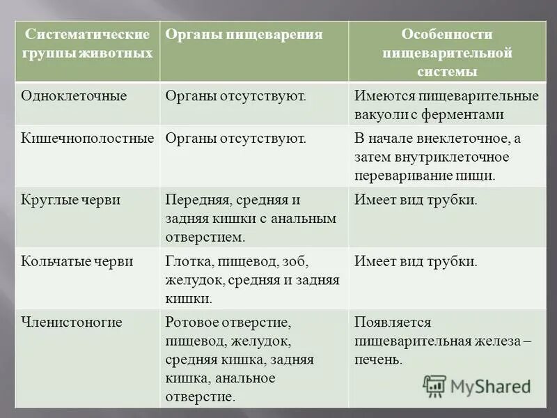 Эволюция строения и функций. Эволюция систем органов животных пищеварительная система. Особенности пищеварительной системы таблица. Эволюция систем органов пищеварительной системы таблица. Эволюция пищеварительной системы животных таблица.