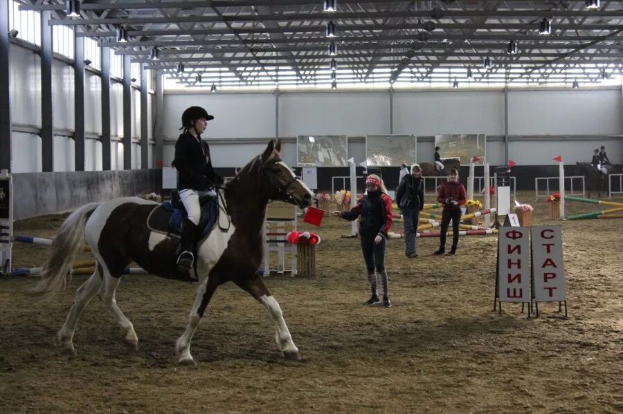 мбу конного спорта