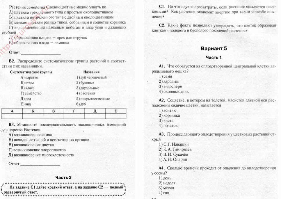 Тест по теме Голосеменные растения 7 класс. Тест по теме Покрытосеменные. Тест по биологии по теме Голосеменные. Контрольная работа по биологии.