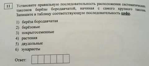 Установите последовательность расположения систематических