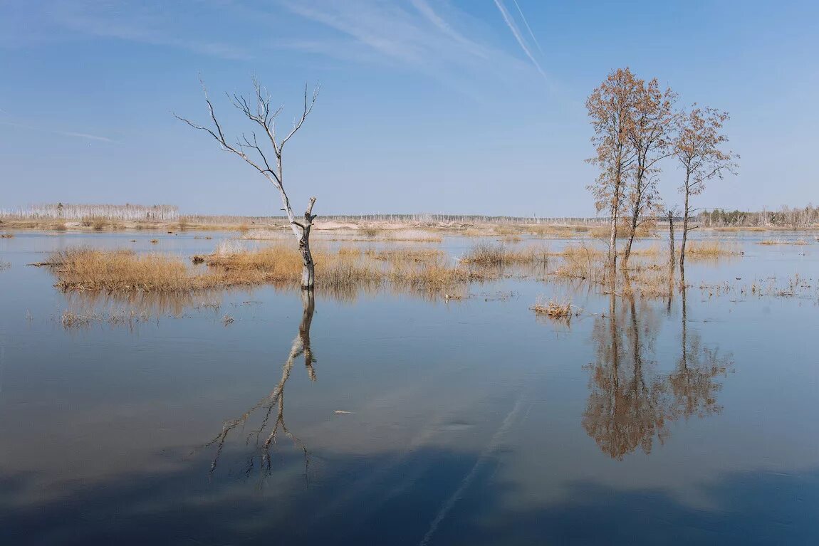 Разлив реки фото. Весенний разлив реки. Половодье на волге. Разлив реки. Река разлилась.