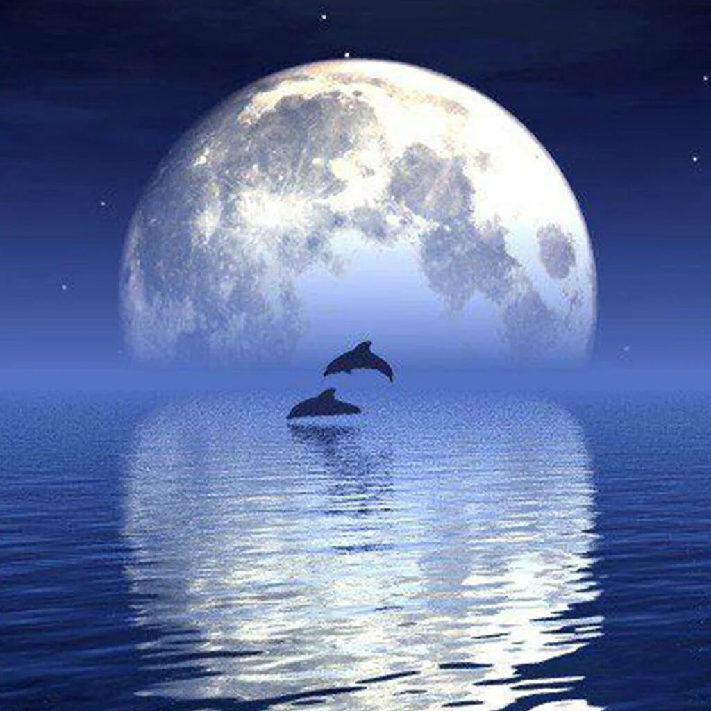Луна и море. Вода на Луне. Отражение Луны в воде. Отражение Луны в море. Луна дельфины слушать