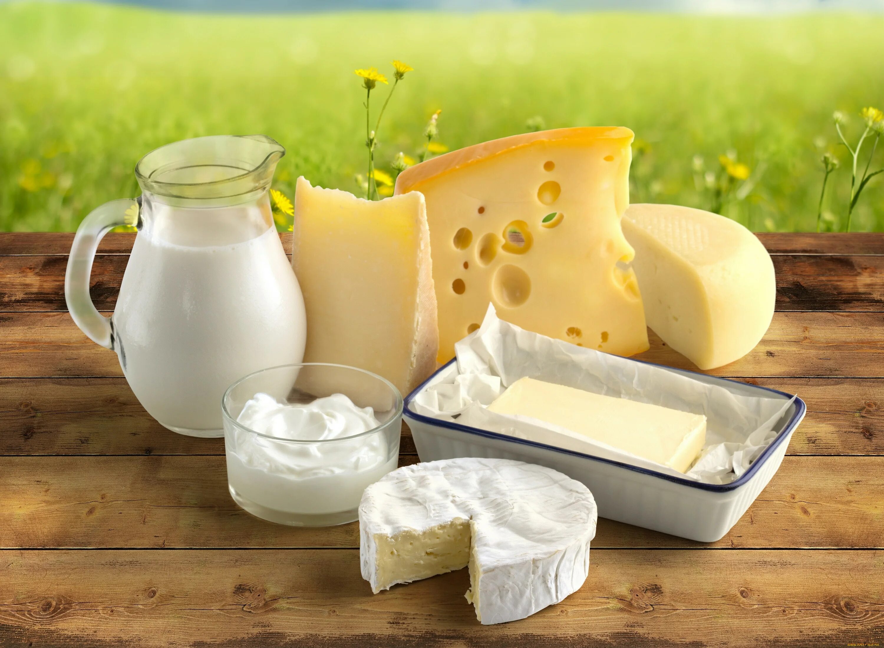 2 butter is made from milk