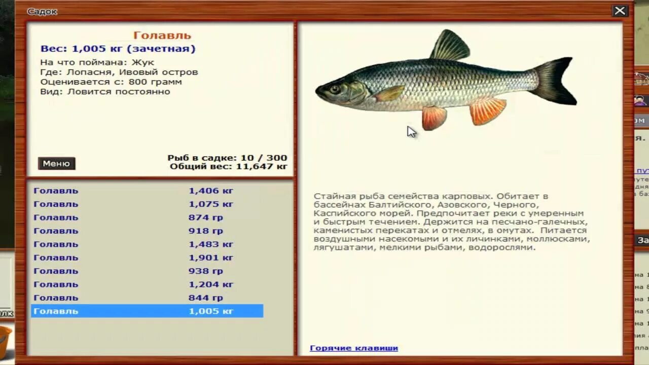 Рр3 голавль. Голавль Лопасня рр3. Русская рыбалка 3 Лопасня голец Усатый. Русская рыбалка 3 Лопасня жерех. Русская рыбалка на что ловится