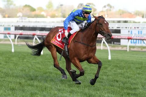 Horse race live