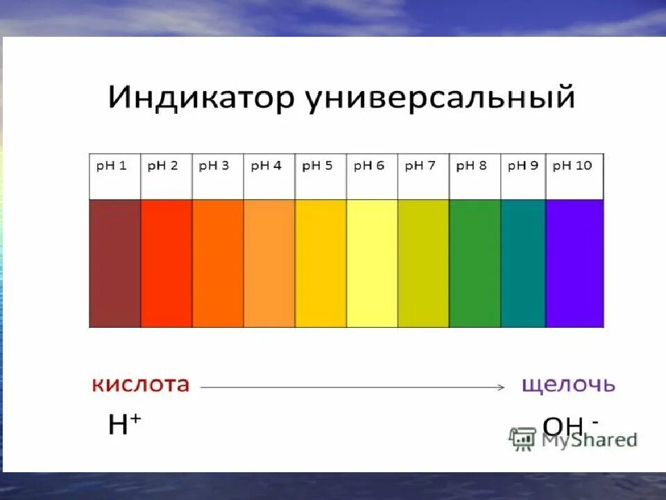 Действие индикаторов. Щелочь цвет. Изменение цвета различных индикаторов. Щелочь цвет. Химические индикаторы.