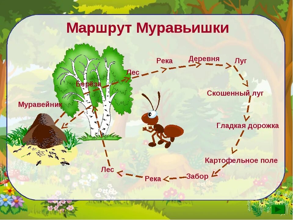 Какие насекомые помогали муравьишке добраться домой. Карта путешествия муравьишки в.Бианки. Бианки в. в. "приключения муравьишки". Маршрут муравьишки из сказки Бианки. Путешествие муравьишки Бианки.