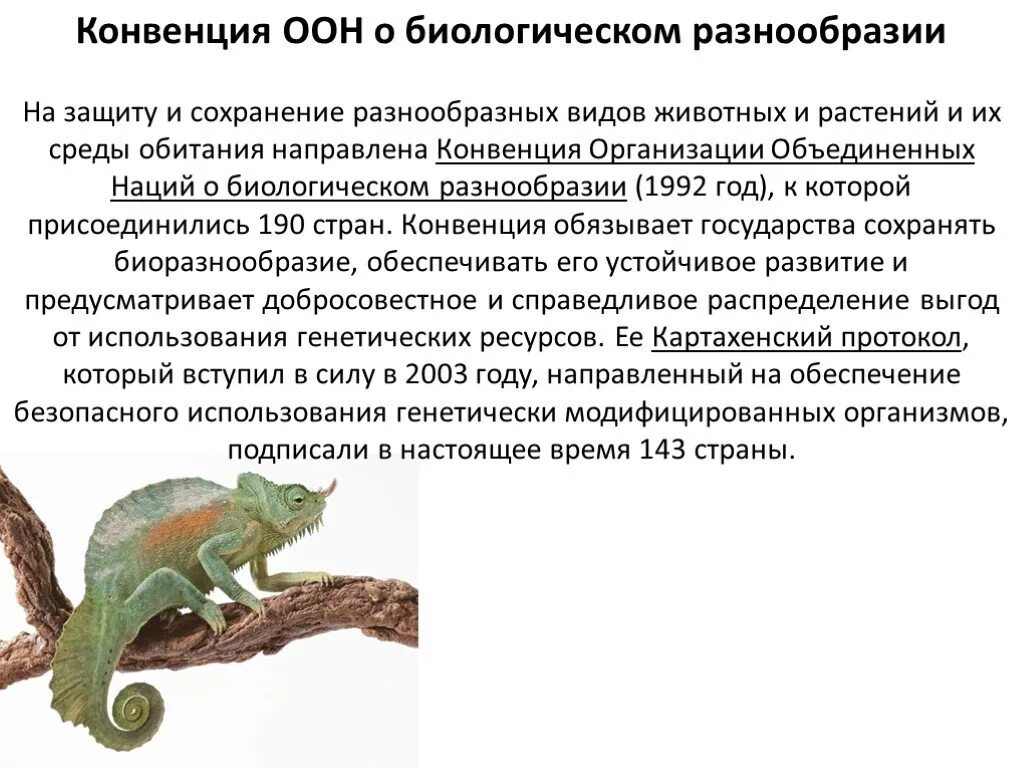 Биоразнообразие оон