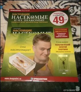 Журналы деагостини