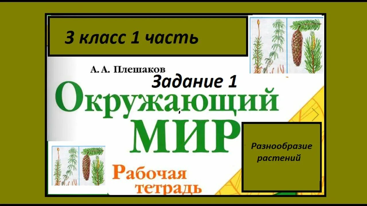 Разнообразие растений тест 3 класс окружающий. Разнообразие растений 3 класс окружающий мир рабочая тетрадь. окружающий мир тетрадь разнообразие растений. окружающий мир 3 класс рабочая тетрадь 1 часть разнообразие растений. разнообразия растений окружаюший мир.